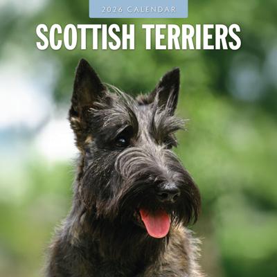 Schotse Terrier Kalender 2026