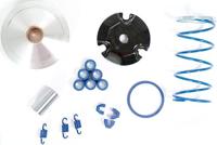 Polini Variomatic hispeed minarelli engine horizont