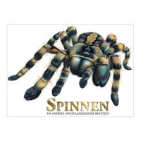 Rebo Publishers Boek over spinnen, angstaanjagende wezens