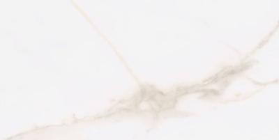 Diamond Gold glans 30x60 vloertegels / wandtegels gerectificeerd | Geschikt voor vloerverwarming