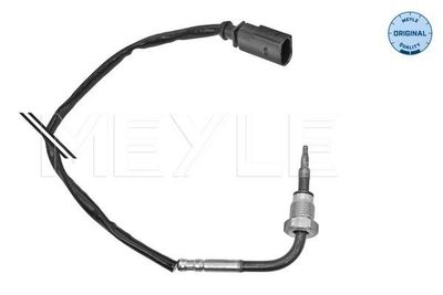 Sensor, uitlaatgastemperatuur 1148000191