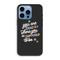 Right Place: iPhone 13 Pro Biologisch afbreekbaar hoesje
