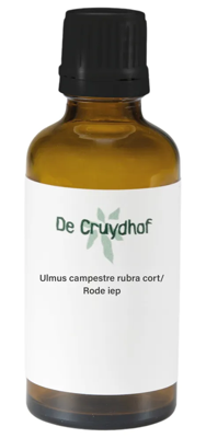 Cruydhof Ulmus Campestre Rubra Cort/Rode Iep Druppels