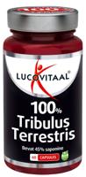 100% tribulus terrestris 60 Capsules