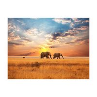 Fotobehang - Afrikaanse Savanne Olifanten 250x193cm - Vliesbehang - thumbnail