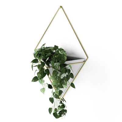 Umbra Trigg plantenhouder 10x22x39cm 1 stuk hangend keramiek wit/goud 470752-524