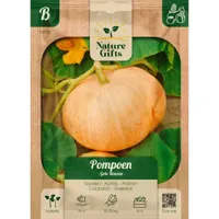 Pompoen gele reuzen 6st