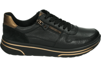 Ara 1232440 - alle - thumbnail