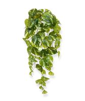 Pothos kunst hangplant 60cm