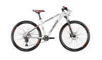 Beta 9598Whp L-N-Whistle® Mountainbike, 29" - 095980142 Beta 9598Whp L-N-Whistle® Mountainbike, 29" - 095980142