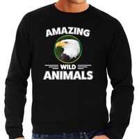 Sweater arend roofvogels amazing wild animals / dieren trui zwart voor heren