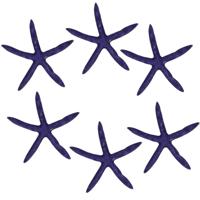 Decoratie paarse zeesterren - set 6x stuks - namaak artikel - zeesterren - maritiem leven Decoratie paarse zeesterren - set 6x stuks - namaak artikel - zeesterren - maritiem leven
