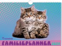 Rachael Hale Katten familieplanner - 2024 - Spiraalgebonden (9789464325645)