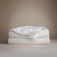 Dekbed 100% Zijden All Season - Enkel , All season - 240x220 cm (Lits-Jumeaux) - Basalt - 285 gram - Dekbed-Discounter.nl