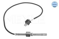 Sensor, uitlaatgastemperatuur 0148000189