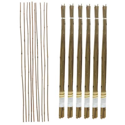 Gerimport Plantenstokken - 60x stuks - 90 cm - plantensteun / tonkinstokken