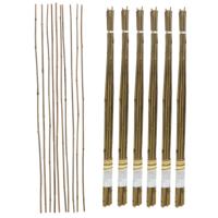 Gerimport Plantenstokken - 60x stuks - 90 cm - plantensteun / tonkinstokken