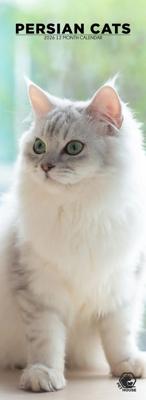 Perzische Katten Slimline Kalender 2026 Perzische Katten Slimline Kalender 2026