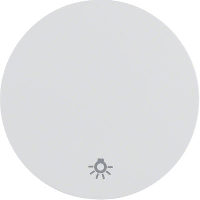 Berker wip lichtsymbool R1-R3 wit 16202079