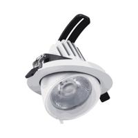 Kantelbare LED Downlight 24 Watt - COB - 165mm - 60°