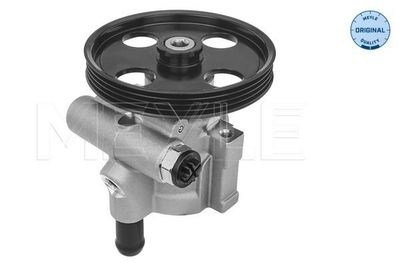 Servo pomp 16166310003