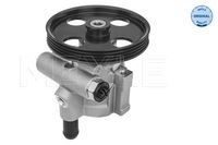 Servo pomp 16166310003
