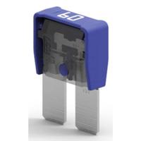 MTA Automotive M8COMPACT 60A 06.10060 Platte maxizekering 60 A Blauw 1 stuk(s) - thumbnail