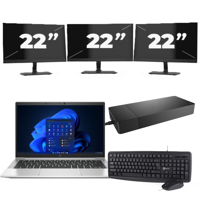 HP EliteBook 835 G8 - AMD Ryzen 3 PRO 5450U - 13 inch - 8GB RAM - 256GB SSD - Windows 11 Home + 3x 22 inch Monitor