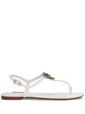 Dolce & Gabbana sandales Devotion en cuir - Blanc