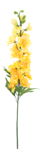 Delphinium spray Christel yellow 91cm