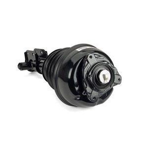 Pneumatische veerpoot AS3238