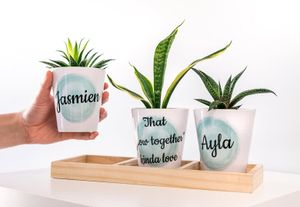 Bloempot Set van 3