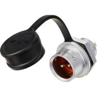 Weipu SF1212/P2 Ronde connector Stekker, recht Totaal aantal polen: 2 Serie (ronde connectoren): SF12 1 stuk(s)