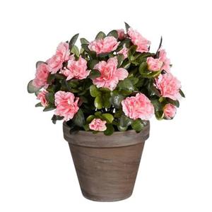 Mica Decorations Azalea Kunstplant - H31 x Ø26 cm - Perzik