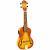 Ortega Saloon Series RUSL-HSB concert ukelele arched top met tas