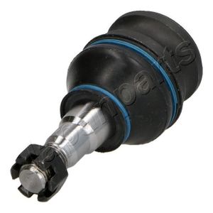 Fuseekogel BJ799