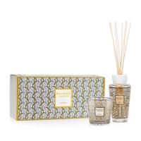 Baobab My First Baobab Mexico Giftbox