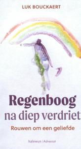 Regenboog na diep verdriet (Paperback)