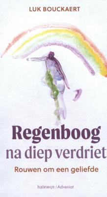 Regenboog na diep verdriet (Paperback)