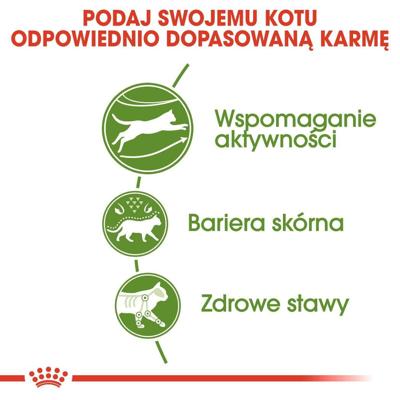 Royal Canin Outdoor droogvoer voor kat 2 kg