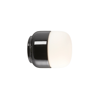 Ifo Electric - Ohm 100/110 Plafondlamp/Wandlamp