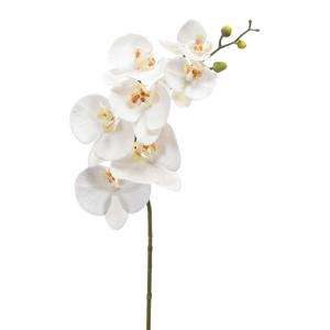 Kunstbloem Orchidee - 83 cm - wit - losse tak - kunst zijdebloem - Phalaenopsis