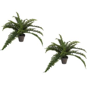 2x stuks boston Varen kunstplanten groen in grijze pot H35 cm x D45 cm