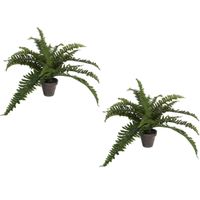 2x stuks boston Varen kunstplanten groen in grijze pot H35 cm x D45 cm - thumbnail