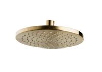 Wiesbaden luxe mess.hoofddouche rond 200mmx12mm geborsteld messing