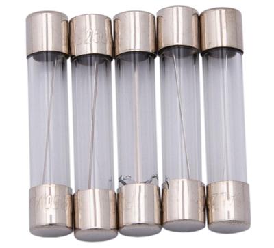 Dresselhaus Glass fuses 6.3x30 10a f. japanese vehicles.