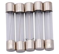 Dresselhaus Glass fuses 6.3x30 10a f. japanese vehicles.
