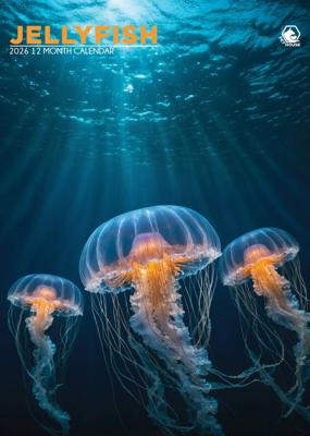 Kwallen A3 Kalender 2026