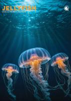 Kwallen A3 Kalender 2026