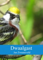 Reisverhaal Dwaalgast | Jan Zwaaneveld - thumbnail